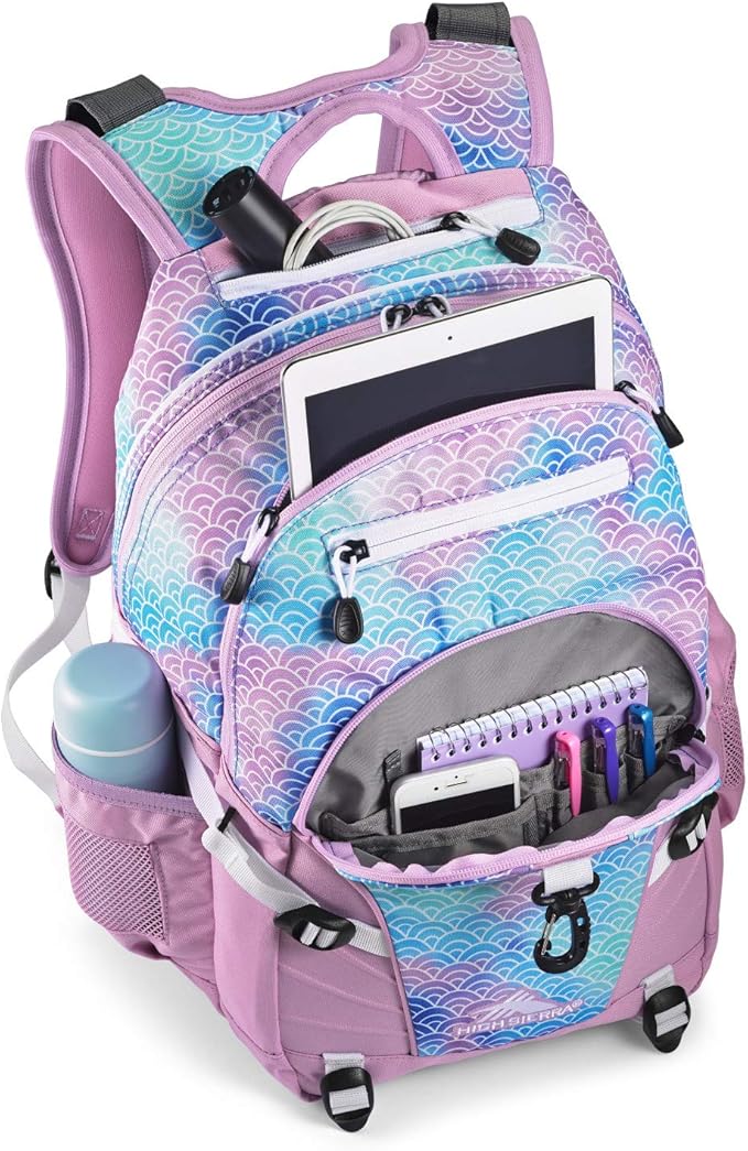 High Sierra Loop Backpack, Travel, or Work Bookbag with tablet sleeve, One Size, Rainbow Scales