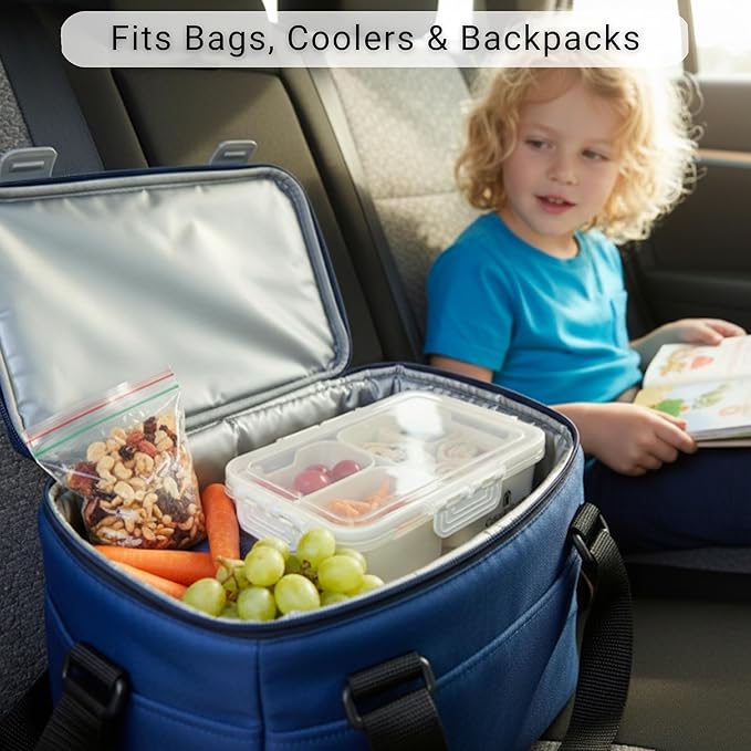 2 Pack Mini Snackle Box Container - 4 Compartment Divided Serving Tray with Lid for Meal Prep, Lunch, School - Dishwasher Safe, Reusable Travel Snack Box for Candy, Fruits, Snacks