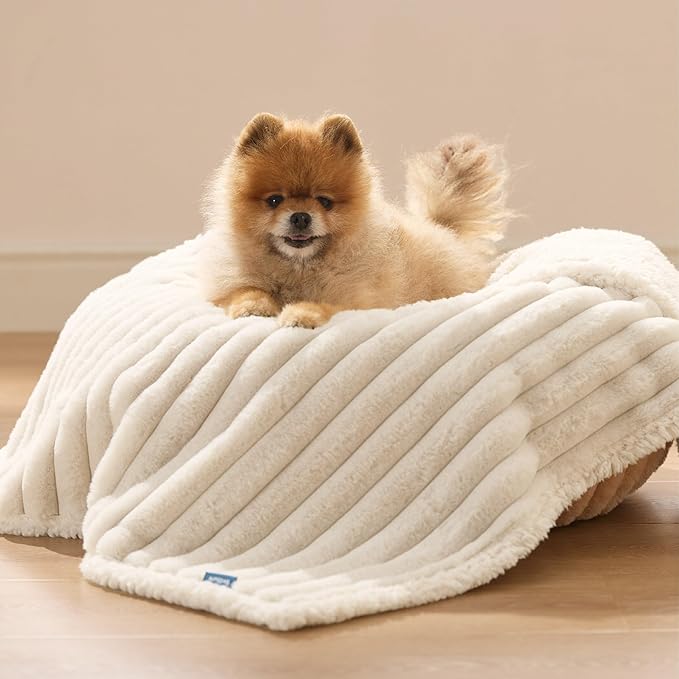 Bedsure Waterproof Dog Blankets for Small Dogs - Soft Puppy Cat Blanket Corduroy Fleece Washable, Cozy Calming Reversible Furniture Protection for Pet Kitten Doggy,25"x35", Cream