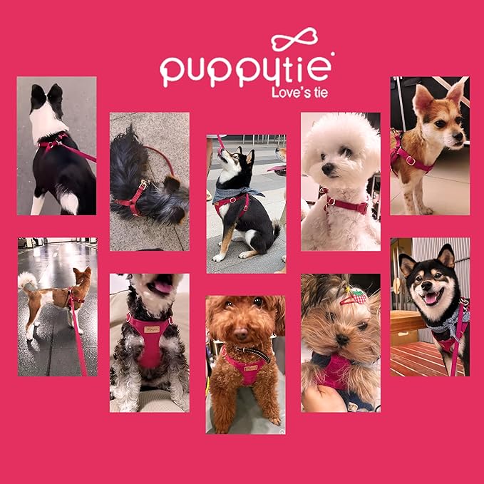 Puppytie No Pull xs Dog Harness with Multifunction Dog Leash,Soft Adjustable No Choke Escape Proof Pet Harness Vest,red,XS