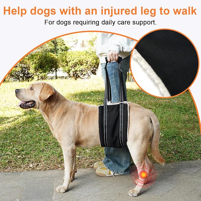 COODEO Adjustable Comfortable Dog Sling with Handle Hind Leg Support Soft Lift Support and Rehab Harness for Weak Rear Legs,Helps Senior, Injured, Disabled and After ACL Surgery Dogs Large (Black, M)