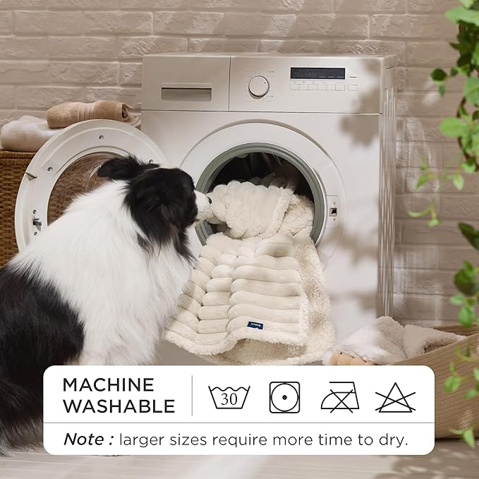 Bedsure Waterproof Dog Blankets for Medium Dogs - Soft Puppy Cat Blanket Corduroy Fleece Washable, Cozy Calming Reversible Furniture Protection for Pet Kitten Doggy,30"x40", Cream