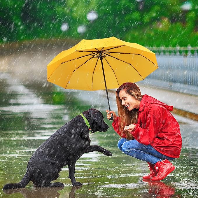 ZOMAKE Travel Umbrella Compact - 10 Ribs Portable Collapsible Umbrellas for Rain Windproof - Paraguas Automatic Small Folding Umbrella Lightweight Packable Umbrella for Women Men