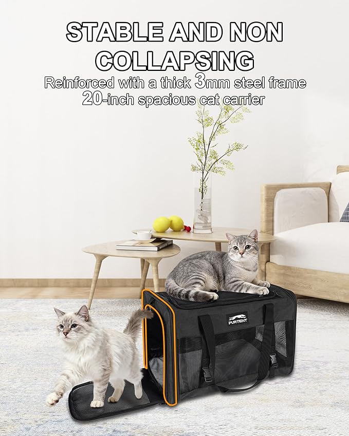Soft-Sided Large Cat Carrier for 2 Cats, Spacious Foldable Pet Travel Carrier for Large Cats up to 25 Lbs, Double Cat Bag with Shoulder Strap, 20x13x13 Inch, Fits Maine Coon and Small Dogs, Black