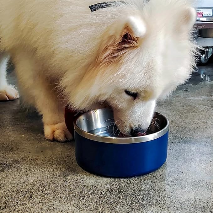 Stainless Steel Dog Bowl, Metal Water and Food Dish for Large Dogs, Insulated Non-Slip Pet Bowl, Easy Clean, 40oz, Blue