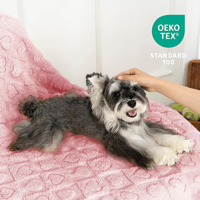 gogobunny Calming Plush Dog Cat Blanket 300GSM Coral Fleece, Ultra-Soft Machine Washable Pet Bedding for Small Medium Dogs Cats Puppies Kittens (Pink, 60x80)