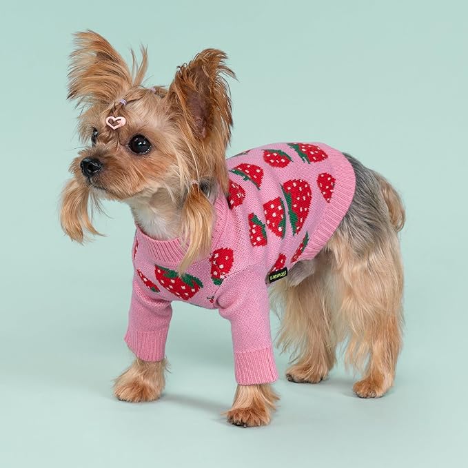 Fitwarm Adorable Strawberry Dog Sweater, Thermal Dog Winter Clothes for Small Dogs Girl, Pet Outfit, Pink, Red, White, Green, Medium