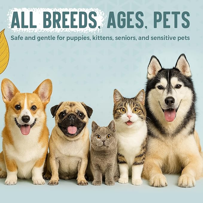 ALFIE'S CHOICE Pet Calming Aromatherapy Spray | 3 fl oz | for Dogs & Cats | Water Based Botanical Mist with Lavender, Ylang Ylang & Valerian | Promotes Calm and Relaxed Environment