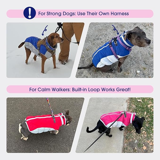 FUAMEY Dog Coat for Small Dogs,Waterproof Dog Winter Jacket with Harness Built in Puppy Cold Weather Coats Reflective Pet Vest with Zipper Warm Fleece Dogs Snowsuit Windproof Red S