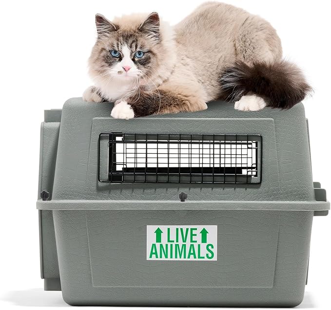 Petmate Sky Kennel For Air and Travel Airline Compliant Dog Crate for Smaller Dog Breeds or Pets up to 15 lbs, Heavy Duty Dog Kennel, Made in the USA- 21" L