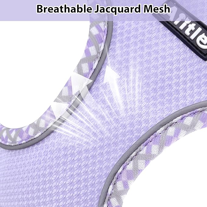 AIITLE Teacup Puppy Harness with Leash - Adjustable Soft Vest with Magic Tape & Reflective Safety Strips, Easy-Put-On for Poodles, Pomeranians - Gym, Hiking, Travel (Purple, S)