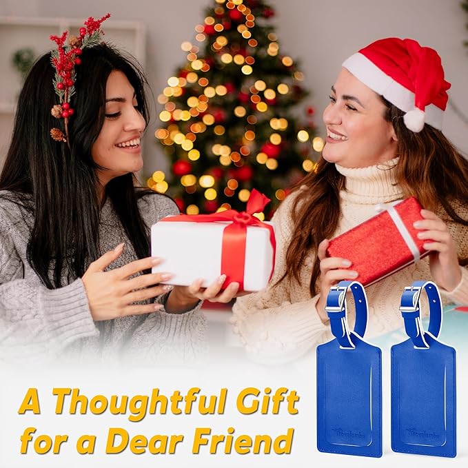 Travelambo Luggage Tags for Suitcases Faux Leather Privacy Protection 2 Pack Bag Tags Travel Accessories Essential, Fresh Blue