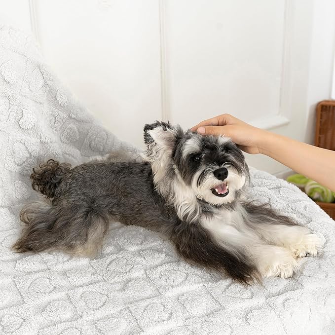 gogobunny Calming Plush Dog Cat Blanket 300GSM Coral Fleece, Ultra-Soft Machine Washable Pet Bedding for Small Medium Dogs Cats Puppies Kittens (Silver, 50x60)