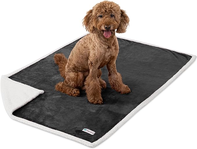 PetAmi Waterproof Dog Blanket for Medium Large XL Dog Puppy Cat Throw for Couch Cover Leakproof Protection, Sherpa Fleece, Reversible Soft Washable 80x60 Charcoal Gray