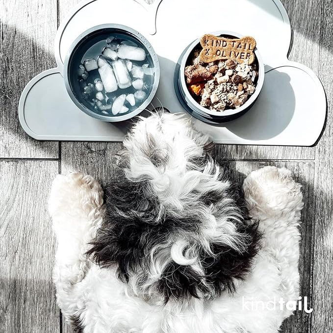 KindTail Portable Pet Feeder, Travel Dog Bowls with Lid and Handle, Microwave and Dishwasher-Safe, 10oz Inner Bowl & 20oz Outer Bowl, Grey