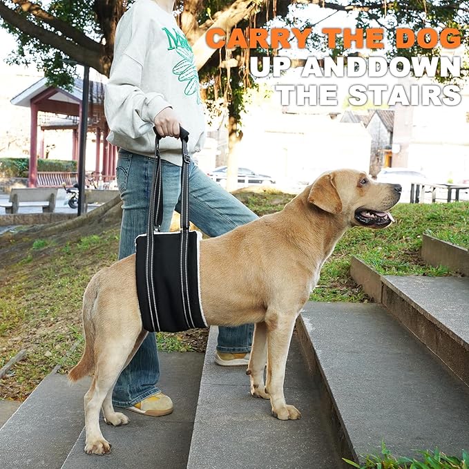 COODEO Adjustable Comfortable Dog Sling with Handle Hind Leg Support Soft Lift Support and Rehab Harness for Weak Rear Legs,Helps Senior, Injured, Disabled and After ACL Surgery Dogs Large (Black, S)