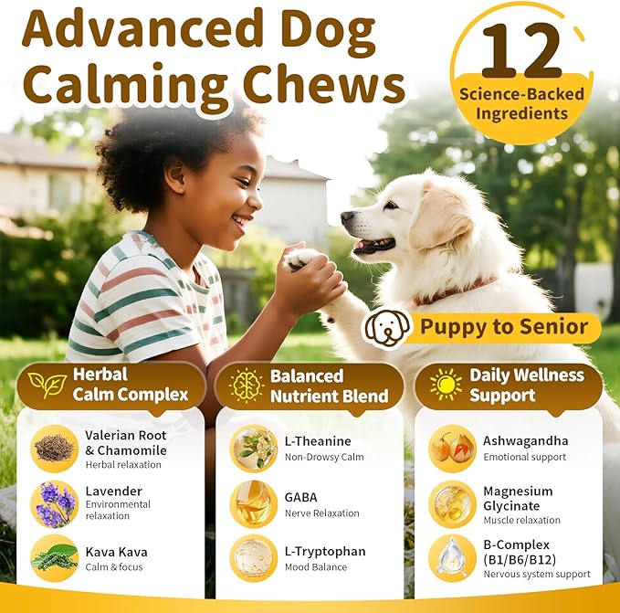 Calming Chews for Dogs – 12-in-1 Dog Calming Treats with Herbal & Vitamins, Relaxation, Focus & Behavior Support for Anxiety, Separation, Barking, Travel, Stress, Upgraded Bacon Flavor, 90 Ct