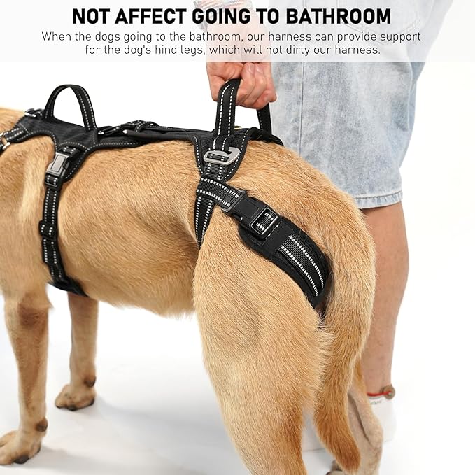 COODEO Mobility Dog Lift Harness, Support Sling & Walking Sling for Dogs, Pet Rear Leg Rehabilitation Support Vest, Dog Carrier for Senior Dogs with Joint Injuries, Arthritis, Up Stair (Black, L)