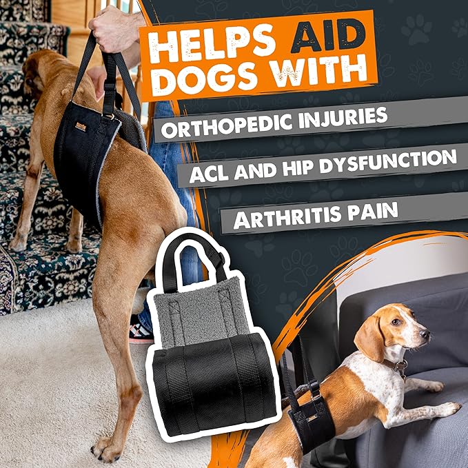 Mighty Paw Dog Lift Harness - 0-20 lbs Dog Hip and Hind Leg Support Sling - Comfortable Assistance for Elderly or Injured Pets with Hip and ACL Brace - Back Support Harness Carrying Sling - Small