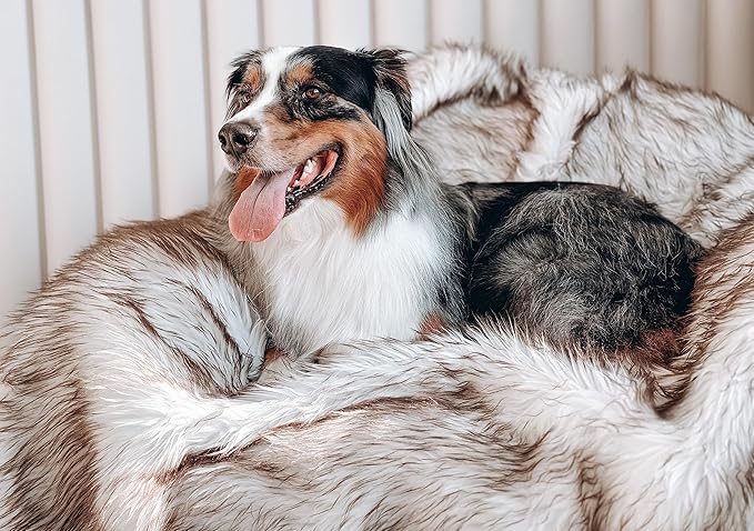 Waterproof Dog Blanket for Small, Medium & Large Dogs – Faux Fur Pet Throw for Couch, Sofa, Bed & Car – Soft, Washable, Stain-Resistant, Durable Cover – White w/Brown Tips – 80" x 60"