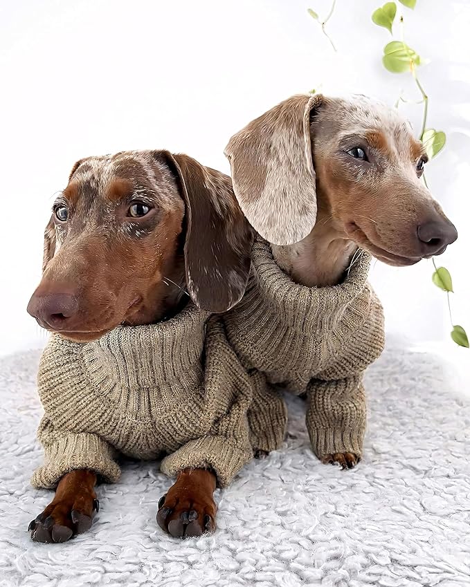Fitwarm Thermal Knitted Dog Sweater Doggy Winter Coat Pet Clothes Doggie Turtleneck Jacket Puppy Outfits Cat Sweatsuit Sage Green XS