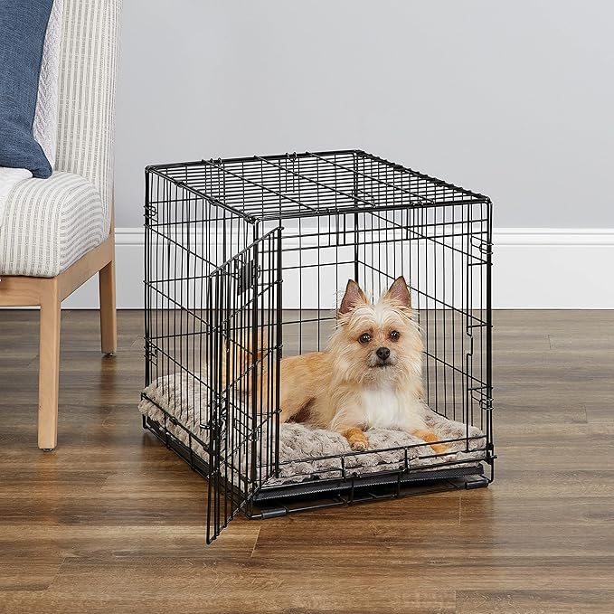 MidWest Homes for Pets 24-Inch iCrate Folding Dog Crate with Divider Panel, Leak-Proof Tray & Secure Latches – Metal Wire Kennel for Small Breeds – Portable, Durable & Easy to Assemble