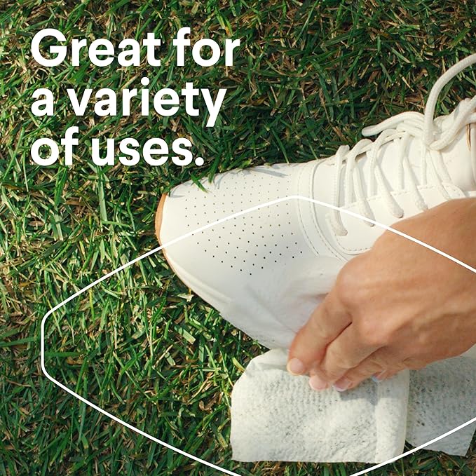 Clorox Disinfecting Wipes To Go Pack, Bleach Free, Fresh Scent, 9 Count, Pack of 24 (Pack May Vary)