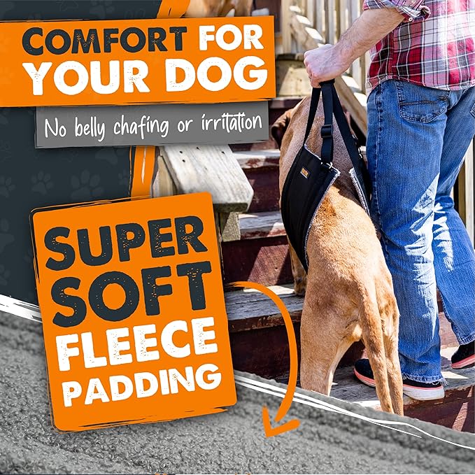 Mighty Paw Dog Lift Harness - 0-20 lbs Dog Hip and Hind Leg Support Sling - Comfortable Assistance for Elderly or Injured Pets with Hip and ACL Brace - Back Support Harness Carrying Sling - Small