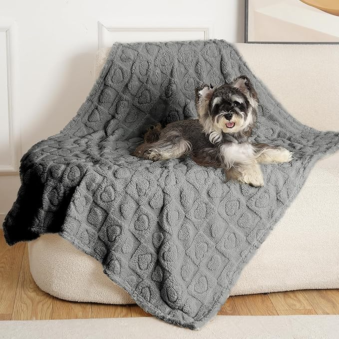 gogobunny Calming Plush Dog Cat Blanket 300GSM Coral Fleece, Ultra-Soft Machine Washable Pet Bedding for Small Medium Dogs Cats Puppies Kittens (Anthracite, 40x50)