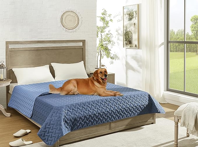 gogobunny 100% Double Sided Waterproof Dog Blanket Soft Pet Bed Cover Reversible Protect Furniture Couch Sofa Car for Puppy Cat Kids (Dark Blue/Light Blue, 52x82 Inch (Pack of 1))