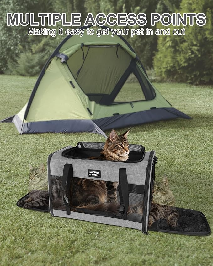 Soft-Sided Large Cat Carrier for 2 Cats, Spacious Foldable Pet Travel Carrier for Large Cats up to 25 Lbs, Double Cat Bag with Shoulder Strap, 20x13x13 Inch, Fits Maine Coon and Small Dogs, Grey