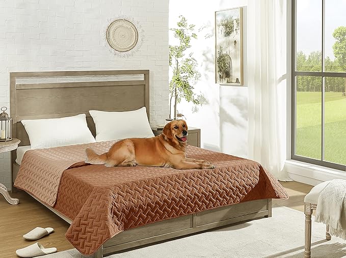 gogobunny 100% Double Sided Waterproof Dog Blanket Soft Pet Bed Cover Reversible Protect Furniture Couch Sofa Car for Puppy Cat Kids (Dark Pumpkin/Light Pumpkin, 30x70 Inch (Pack of 1))