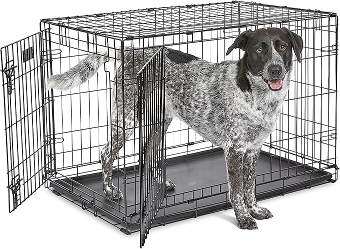 MidWest Homes for Pets 36-Inch Two-Door iCrate Folding Dog Crate with Divider Panel, Leak-Proof Tray & Secure Latches – Metal Wire Kennel for M-L Breeds – Portable, Durable & Easy to Assemble