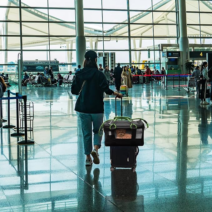 FLUFFY COMMUTE™ TSA Airline Approved Dog Carrier | Soft-Sided | Fits Small Dogs & Pets Up to 15 lbs & 17” Long × 11” Tall | Black w/Green Handle