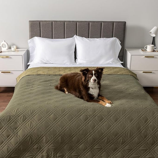 PetAmi Waterproof Couch Cover for Dogs, Waterproof Pet Blanket, Reversible Furniture Cover Sofa Protector for Pet Cat Bed, Washable Waterproof Blanket Dog Cover for Couch Seat, 102x82 Green