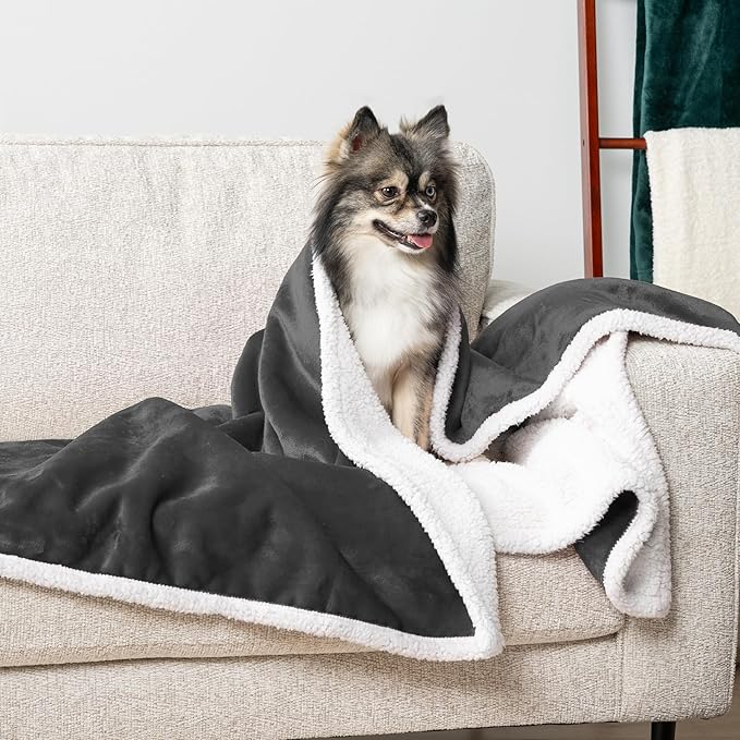 PetAmi Waterproof Dog Blanket for Small Medium Dog Puppy Cat Throw for Couch Cover Leakproof Protection, Sherpa Fleece, Reversible Soft Washable 29x40 Charcoal Gray