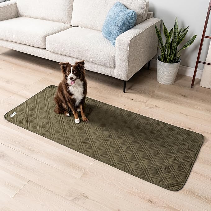 PetAmi Waterproof Couch Cover for Dogs, Waterproof Pet Blanket, Reversible Furniture Cover Sofa Protector for Pet Cat Bed, Washable Waterproof Blanket Dog Cover for Couch Seat, 30x70 Green