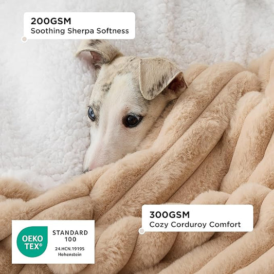 Bedsure Waterproof Dog Blankets for Small Dogs - Soft Puppy Cat Blanket Corduroy Fleece Washable, Cozy Calming Reversible Furniture Protection for Pet Kitten Doggy,25"x35", Tuscan Beige