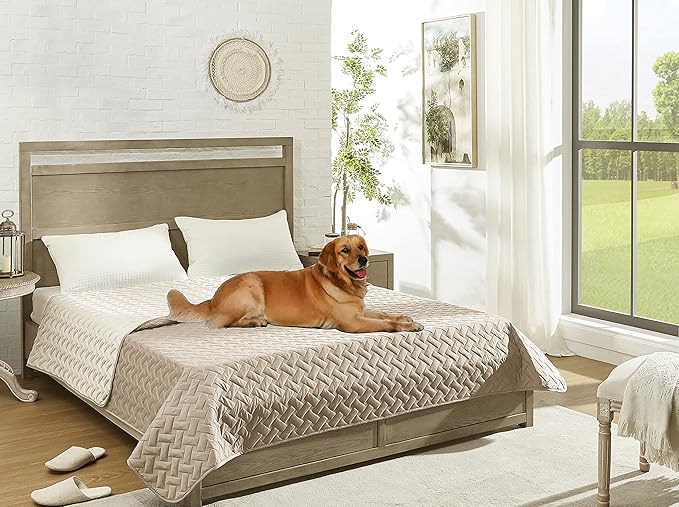 gogobunny 100% Double Sided Waterproof Dog Blanket Soft Pet Bed Cover Reversible Protect Furniture Couch Sofa Car for Puppy Cat Kids (Dark Beige/Light Beige, 30x70 Inch (Pack of 1))