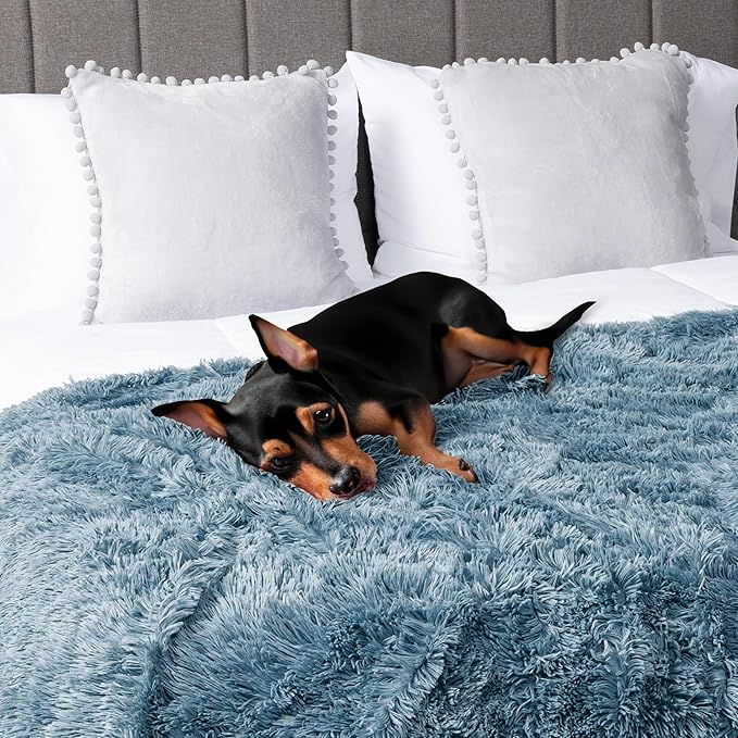 PetAmi Waterproof Dog Blanket for Small Medium Dogs, Calming Fleece Cat Blanket, Couch Protector Washable Sherpa Faux Fur Pet Throw for Puppy, Soft Reversible 29x40 Light Blue