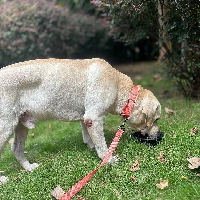 Collapsible Silicone Dog Bowl with Carabiner, 3 Sizes 5-27oz, Portable Pet Outdoor,Travel Bowl,(Black and Red)