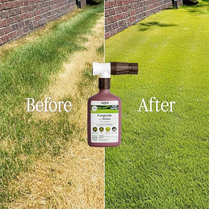 Organic Lawn Fungicide – 16oz Ready-to-Spray Hose-End; Lawns, Trees & Shrubs – Targets Brown Patch, Dollar Spot, Rust, Powdery Mildew & Root Rot – Kid- & Pet-Safe; Coverage up to 16,000 sq ft