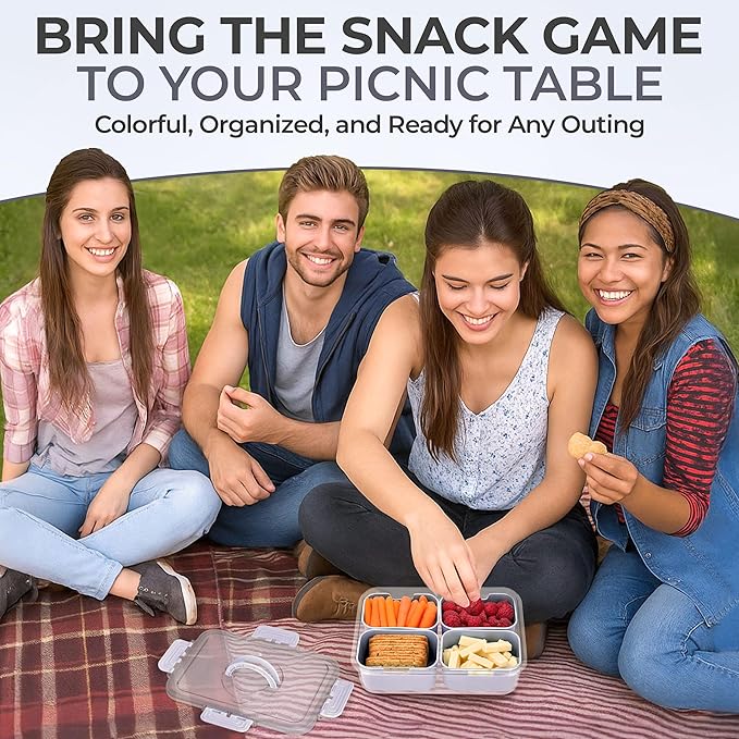 Snackle Box Container with Lid- Travel Charcuterie Box with Handle - Organizer for Candy, Fruit, Nuts, Veggies, Snacks, Beach Essentials, Portable Lunch Box (Grey, Small)