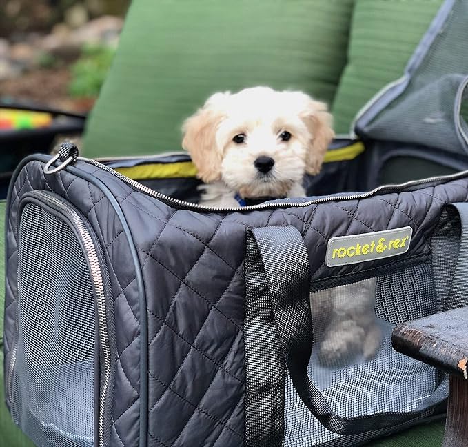rocket & rex Dog Carrier Airline Approved. Soft-Sided Cat Carrier, Pet Carrier. Everyday Use, Car, Plane Travel. Collapsible, Rigid Frame for Easy Storage.