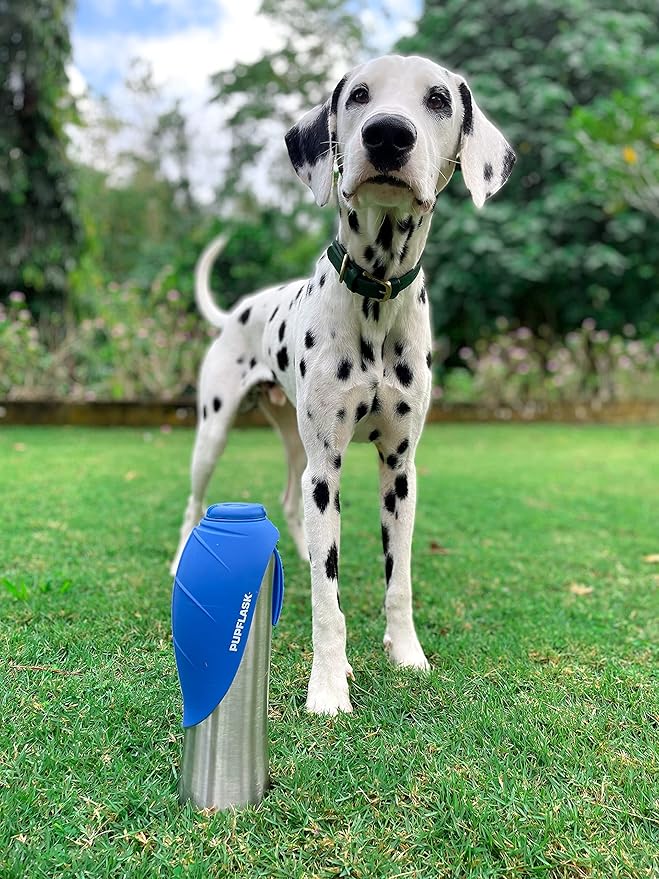 PupFlask Large Dog Water Bottle | 27 or 40 OZ Stainless Steel | Convenient Dog Drink Dispenser | Puppy Travel Water Bowl | Portable Pet Hydration Bottle | Leak Proof | Perfect Size For All Breeds