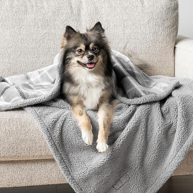PetAmi Waterproof Dog Blanket for Small Medium Dog Puppy Cat Throw for Couch Cover Leakproof Protection, Sherpa Fleece, Reversible Soft Washable 29x40 Plaid Light Gray