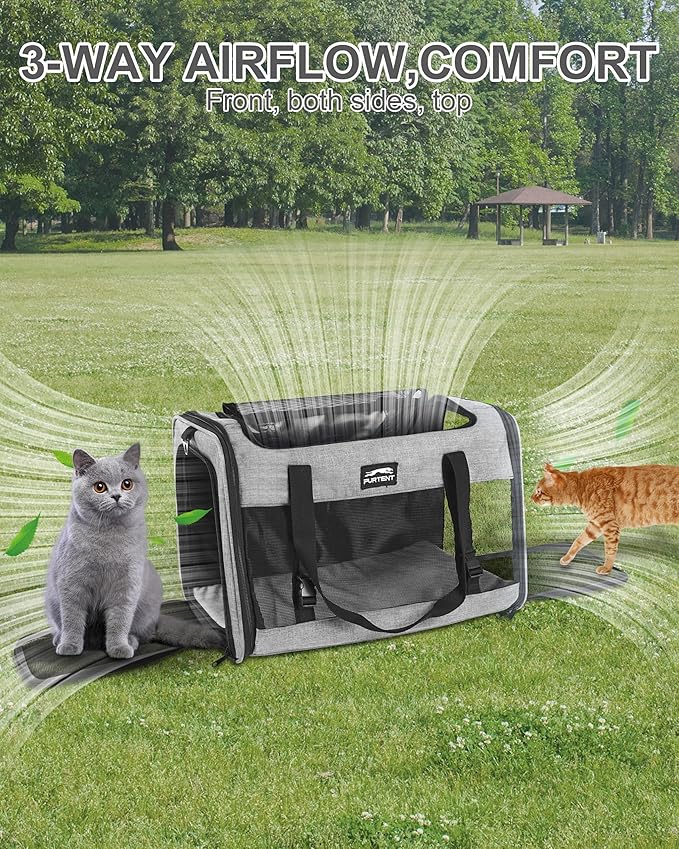 Soft-Sided Large Cat Carrier for 2 Cats, Spacious Foldable Pet Travel Carrier for Large Cats up to 25 Lbs, Double Cat Bag with Shoulder Strap, 20x13x13 Inch, Fits Maine Coon and Small Dogs, Grey