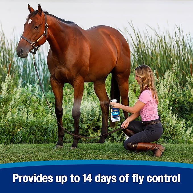 Farnam Endure Sweat-Resistant Fly Spray for Horses, Sweat-Rsistant Formula Lasts Up to 14 Days, Kills and Repels Against Flies, Gnats, Mosquitoes, Ticks & Lice, 128 oz.